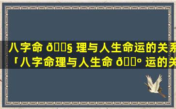 八字命 🐧 理与人生命运的关系「八字命理与人生命 🌺 运的关系是什么」